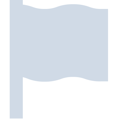 Light Blue Flag Icon